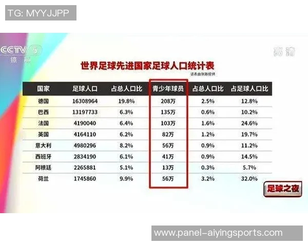 全球国家足球队排名分析与发展趋势探讨
